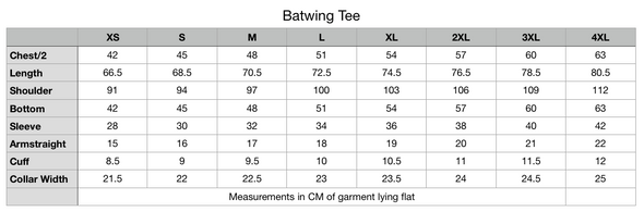 Rainbow Angel Wings Batwing Tee