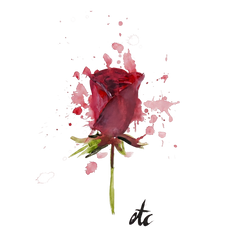 ETC limited edition Painted Rose Minx Tracks